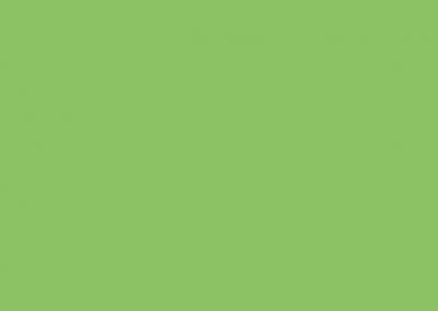 PG544-Bright-Green